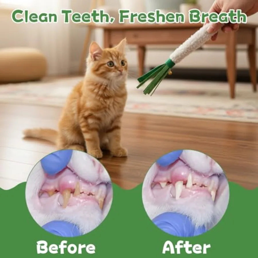 5 PCS Wood Knotweed Felt Chew Stick Dental Care Cat Toy for Teeth Cleaning Satisfies Chewing Instincts Safe and Long Lasting Te