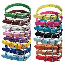 Dog Collars