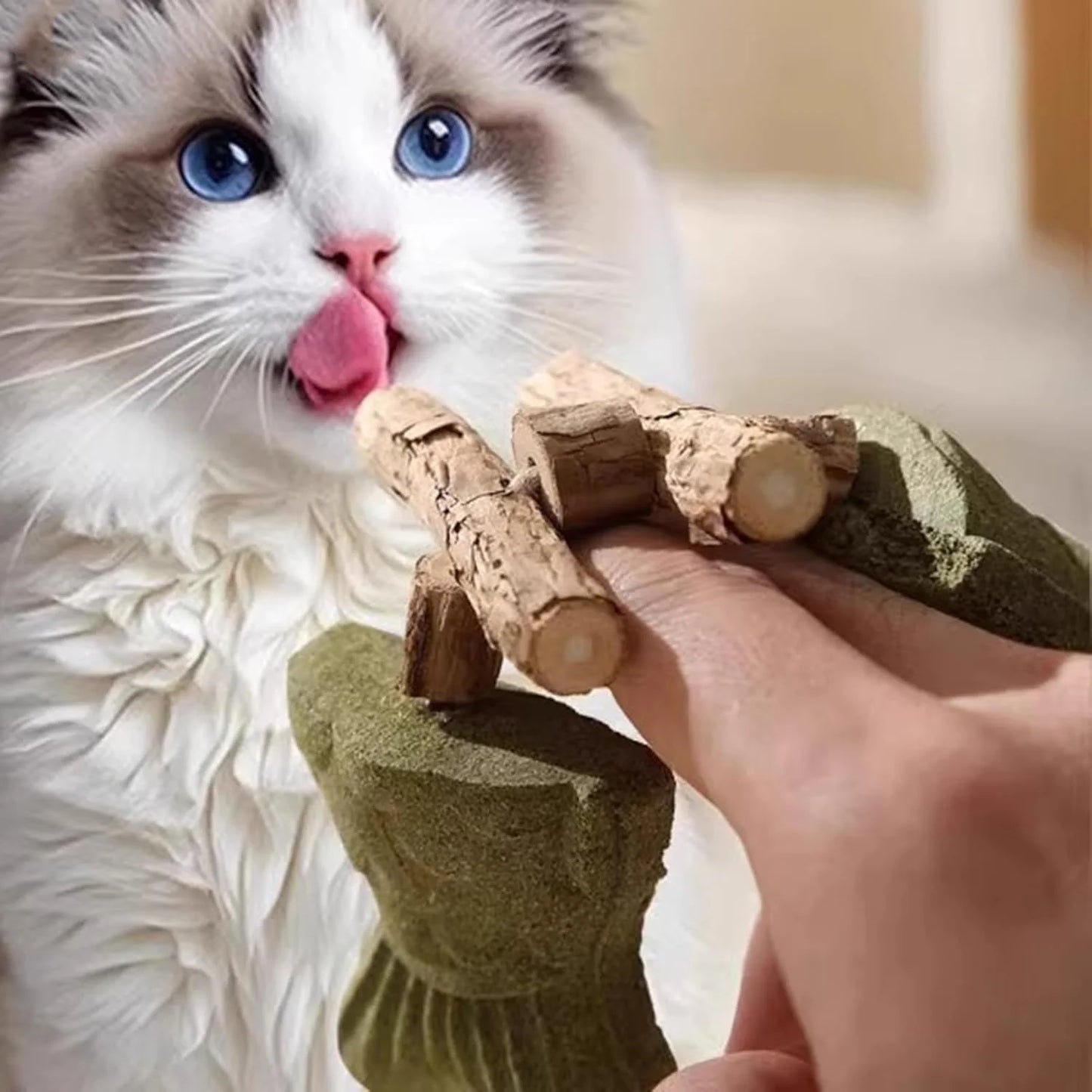 Dental Health Chew Toy for Cats Bite-Resistant Fishbone Toy with Catnip 5