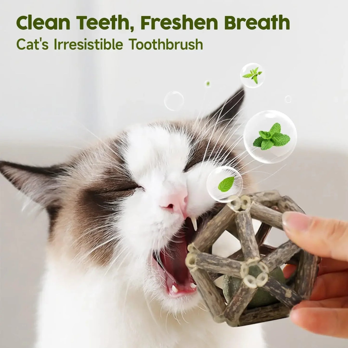 Natural Silvervine Cat Toys, 3Pcs Cage Balls & Bell Ball for Indoor Cats, Dental Chew, All Breeds