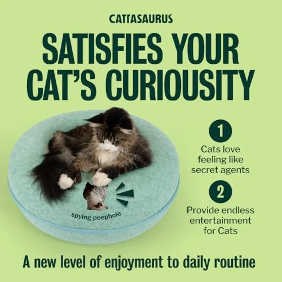 Peekaboo Cat Cave Extra Spacious for Multiple Cats 15+ lbs Scratch Detachable Cat Beds for Indoor Cats Washable Tunnel Bed Comf