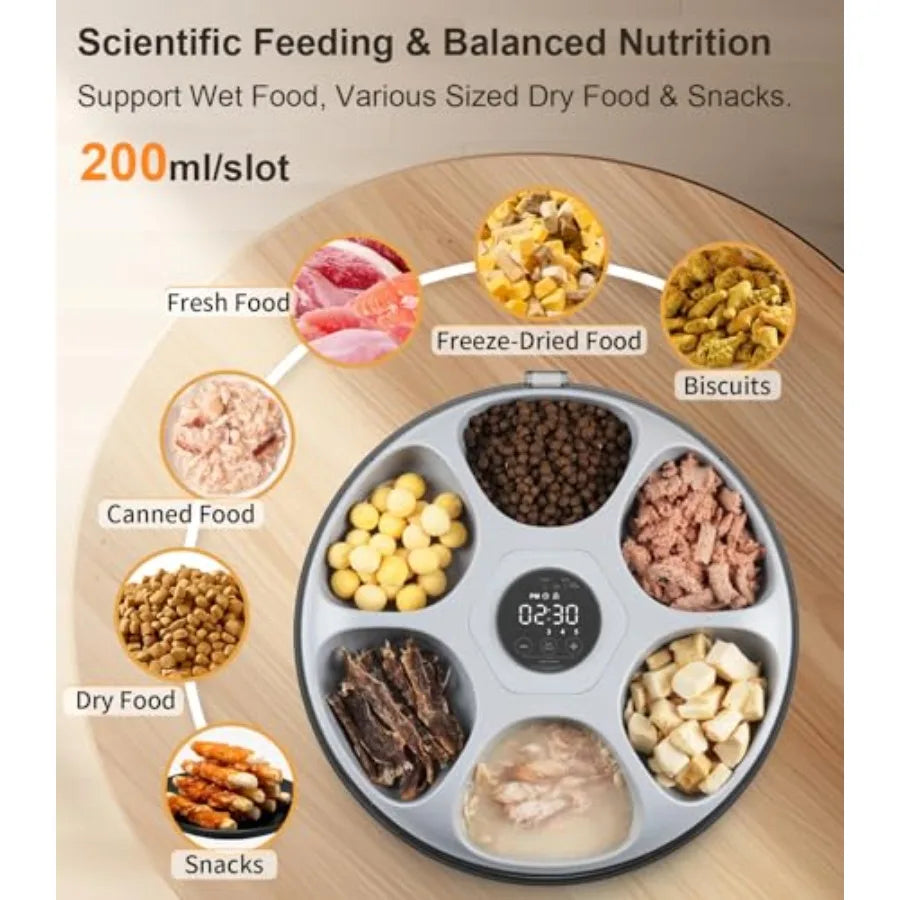 Automatic cat feeder cordless for wet food, BPA-free plastic, white, 4 ice packs + rechargeable battery + programmable timer +