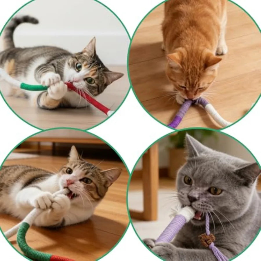 4 Pcs Cat Chew Rope Toy Interactive Kitten Teething Cleaning Toys Pet Transfer Chewing from Wires Safe Cotton String Kitty Kick