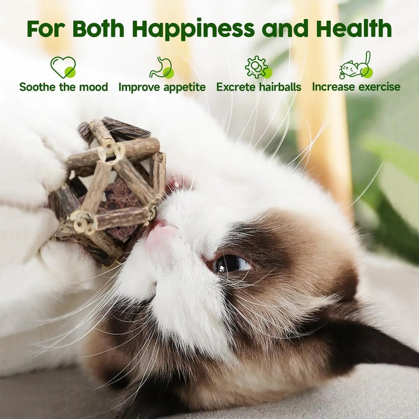 Natural Silvervine Cat Toys, 3Pcs Cage Balls & Bell Ball for Indoor Cats, Dental Chew, All Breeds