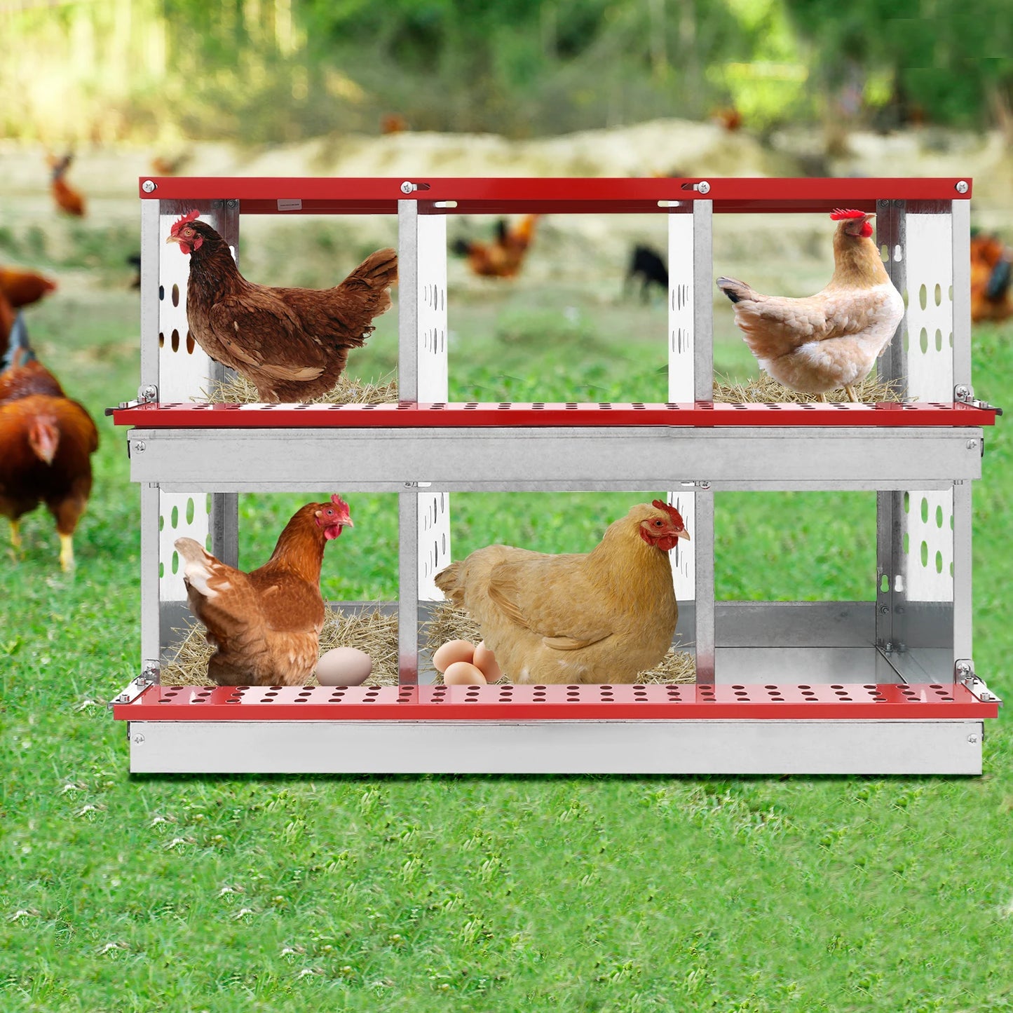 2 Tiers Metal Chicken Nesting Boxes Heavy-Duty Galvanized Steel Egg Laying Box with 6 Compartments Load 110.23lbs for Coops