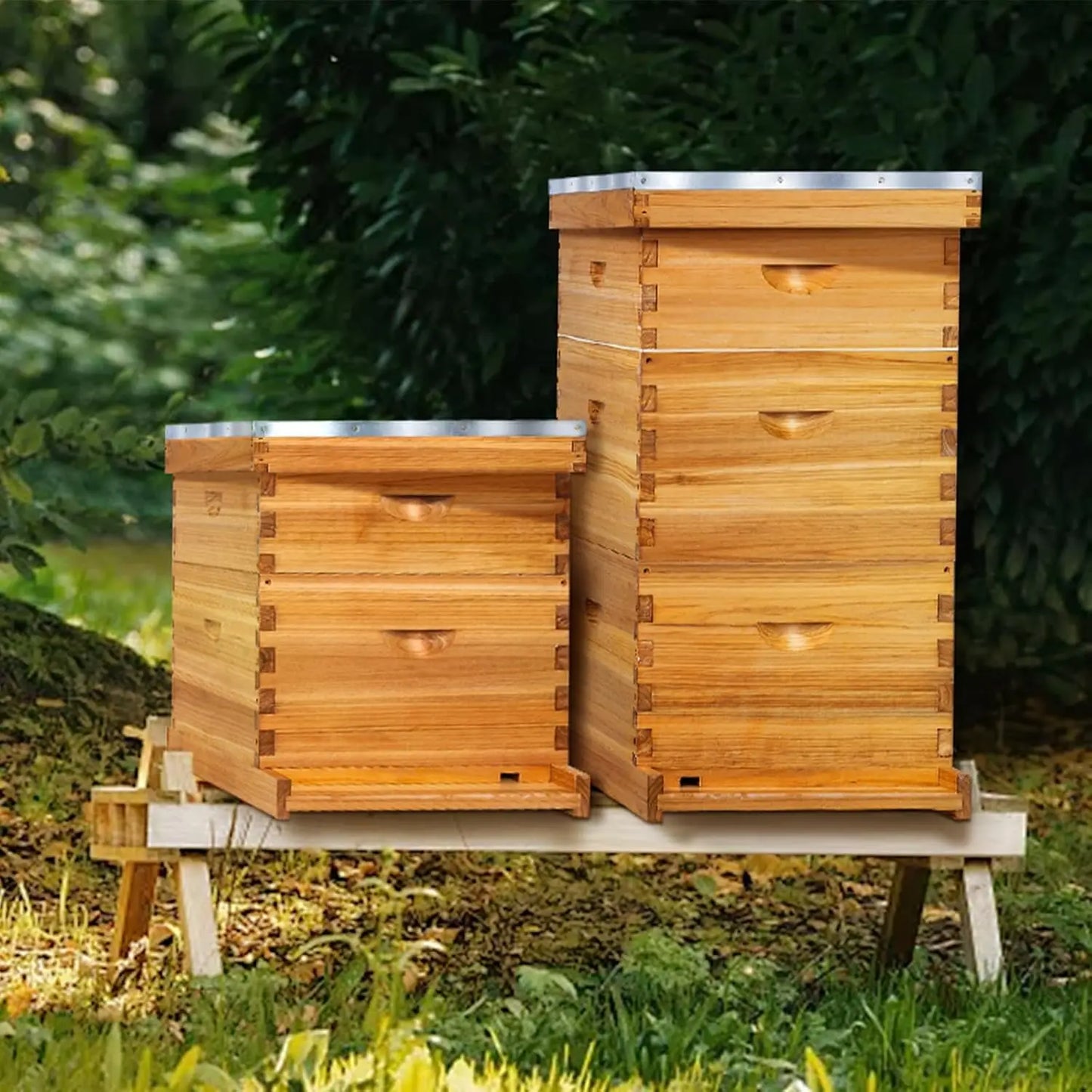 10-Frame Langstroth Bee Hive Complete Bee Hive Kit Beeswax Coated Include Beehive Frames (2 Deep Beehives Box & 1 Medium Box)