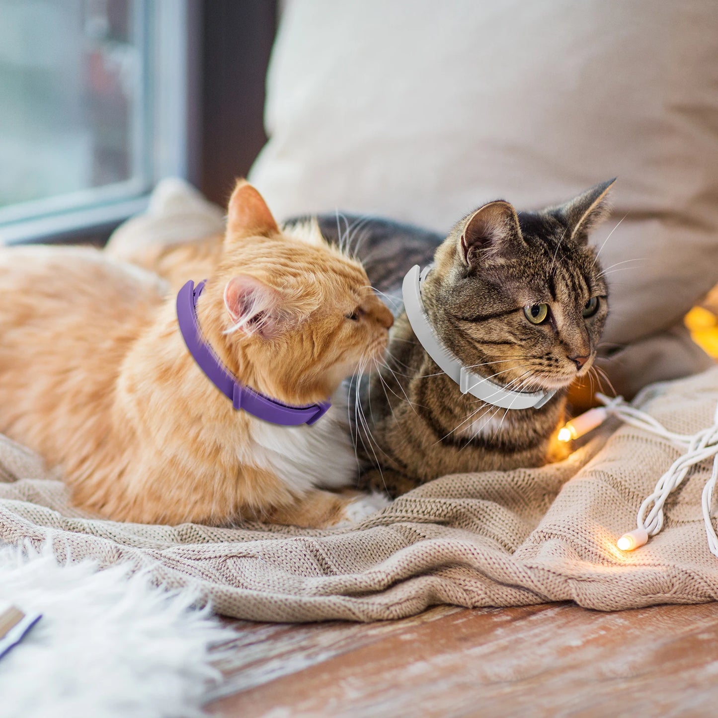 4Pcs Cat Calming Collar Calming Pheromone Collar Adjustable Comfort Cat Calm Collar Anti- Helps with Aggression for Cats