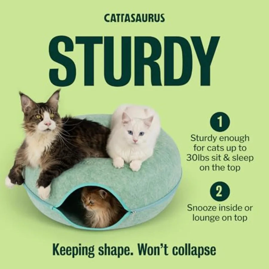 Peekaboo Cat Cave Extra Spacious for Multiple Cats 15+ lbs Scratch Detachable Cat Beds for Indoor Cats Washable Tunnel Bed Comf