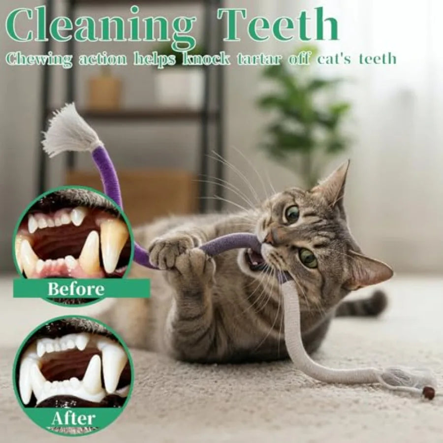 4 Pcs Cat Chew Rope Toy Interactive Kitten Teething Cleaning Toys Pet Transfer Chewing from Wires Safe Cotton String Kitty Kick