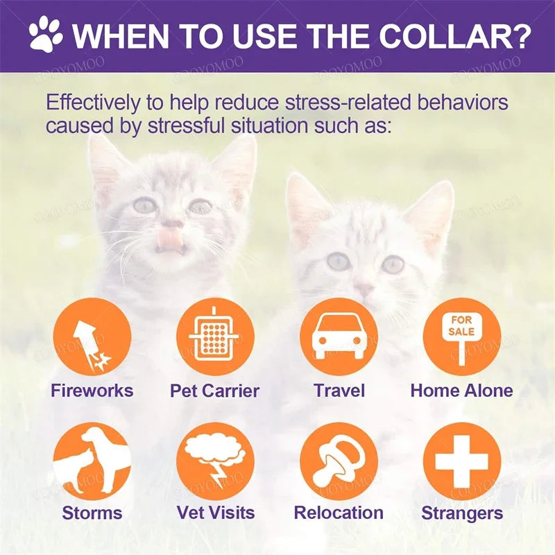 New Release Cat Relieve Anxiety Adjustable Comfortable Collar