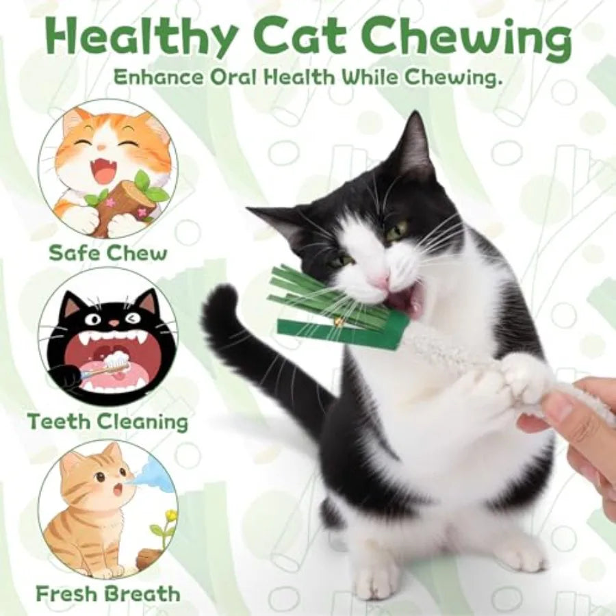 5 PCS Wood Knotweed Felt Chew Stick Dental Care Cat Toy for Teeth Cleaning Satisfies Chewing Instincts Safe and Long Lasting Te